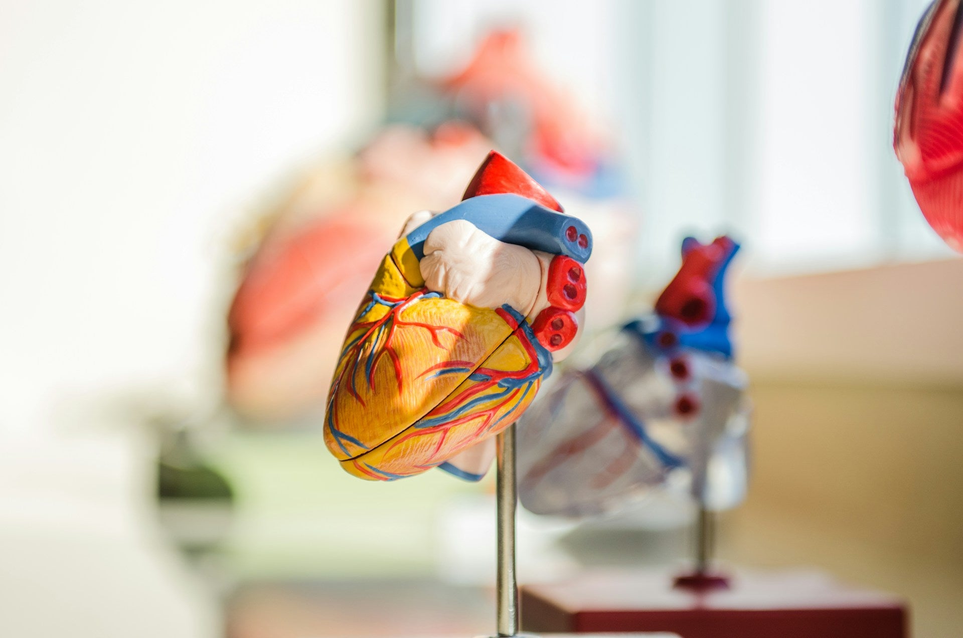 Spinale Bahnsysteme at 07/01/2026 17:00 CEST